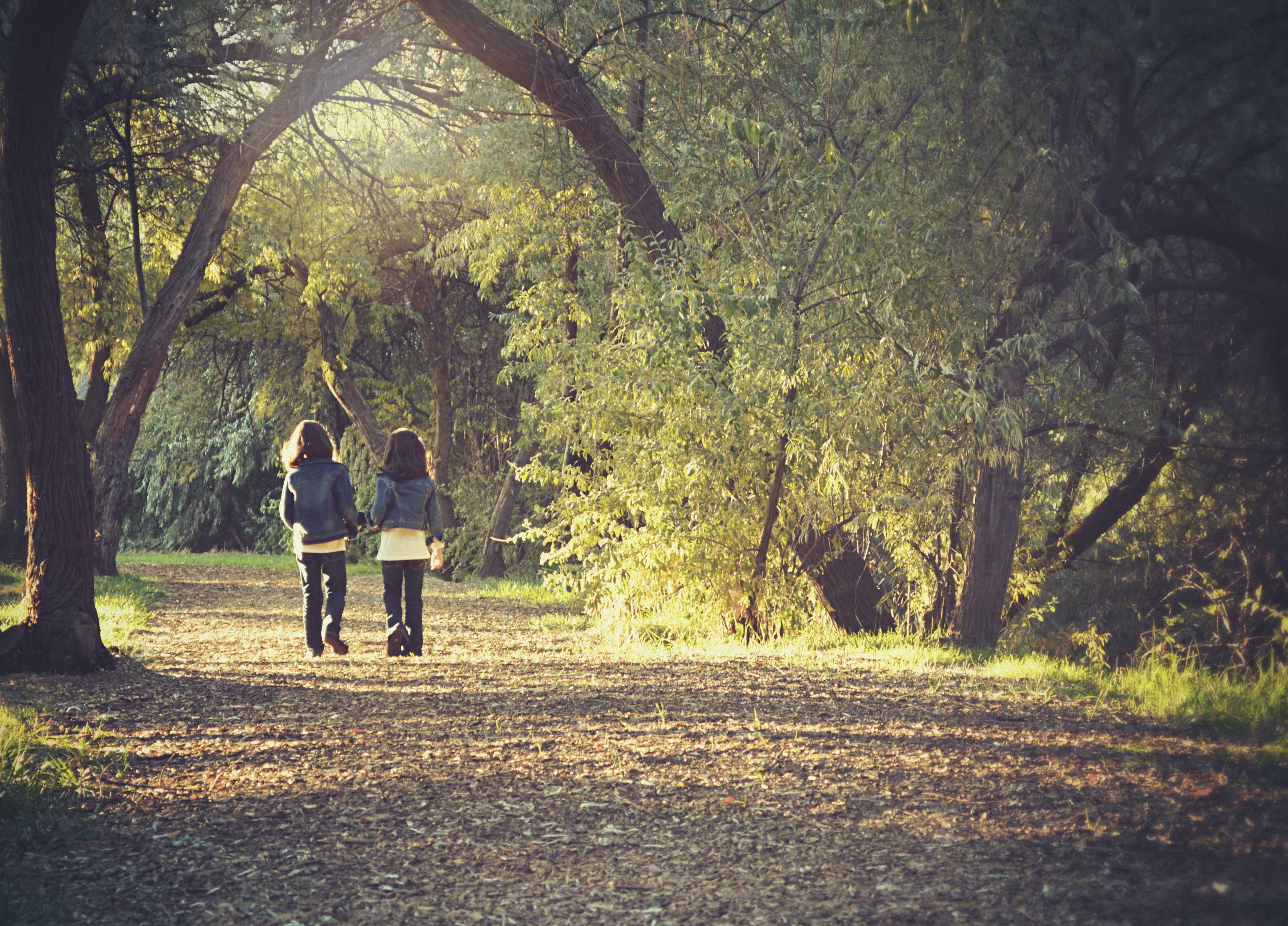 Dos niños de espaldas paseando por un bosque